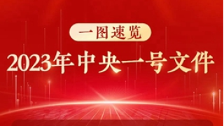 一图速览丨2023年中央一号文件
